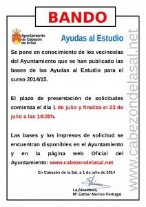 Bando Ayudas libros 2014
