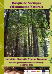 CARTEL SECUOYAS-CABEZON