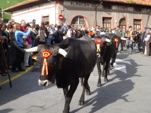 DSCF0928 (Copiar)