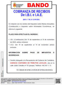 Plazos de cobranza de recibos de IBI e IAE – Ayuntamiento de Cabezón de ...